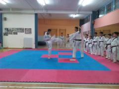 Σπάσιμο Ξύλων - TaeKwonDo Α.Σ. ΝΕΑ ΠΑΙΔΕΙΑ 2016