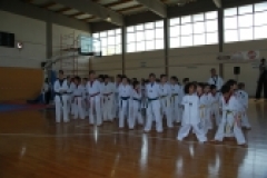 Επίδειξη Tae Kwon Do 2010 - Γιορτή Α.Σ. ΝΕΑ ΠΑΙΔΕΙΑ