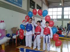 TAE KWON DO SPIRING