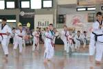 ΕΠΙΔΕΙΞΕΙΣ TAE KWON DO ΑΓΩΝΙΣΤΙΚΩΝ ΤΜΗΜΑΤΩΝ - 