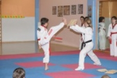 Η ΙΣΤΟΡΙΑ ΤΟΥ TAE KWON DO