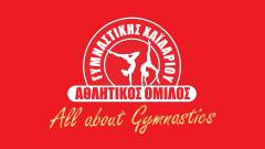 Coaching Team ALL about gymnastics!