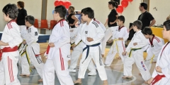 TAE-KWON-DO